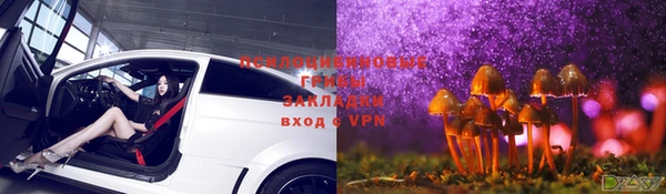 прущая мука Богородск