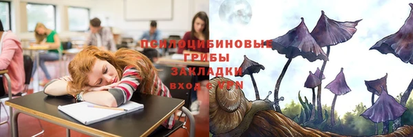 СК Богородицк