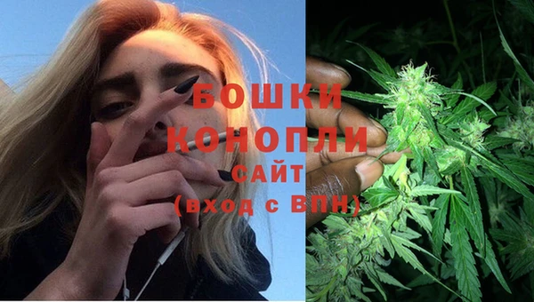 соль курить ск Богданович