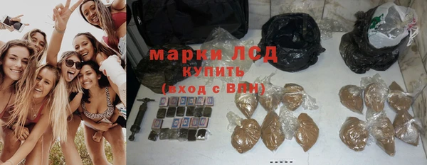 СК Богородицк