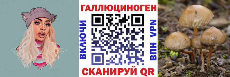 ОМГ ОМГ ссылка  Шатура  Галлюциногенные грибы мухоморы  закладка 
